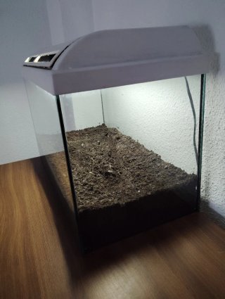 Terrario de cristal y plástico