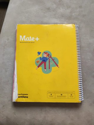 Mate+ 4 Primaria Matemáticas Práctica