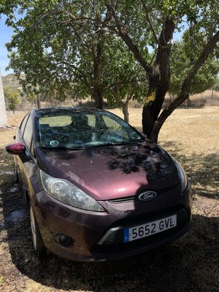 Ford Fiesta 2010