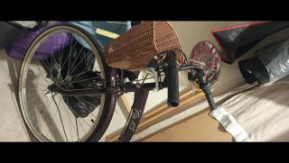 Bicicleta de paseo morada