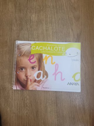 Lectoescritura 2. Pauta. Ed.Infantil. T.Autonom...