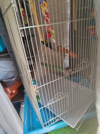 Jaula para pájaros pequeños