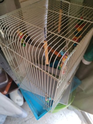 Jaula para pájaros pequeños