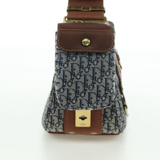 Christian Dior Trotter Canvas Street chic