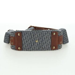 Christian Dior Trotter Canvas Street chic