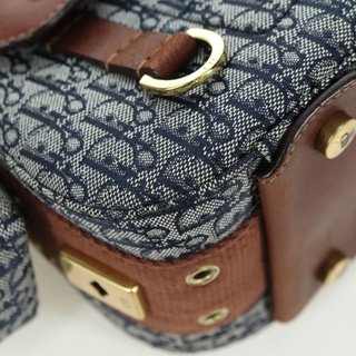 Christian Dior Trotter Canvas Street chic