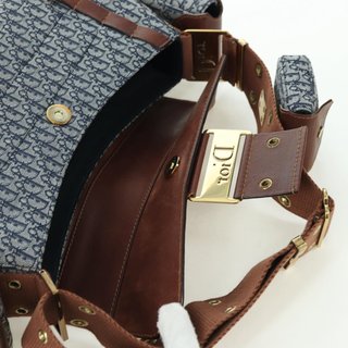 Christian Dior Trotter Canvas Street chic