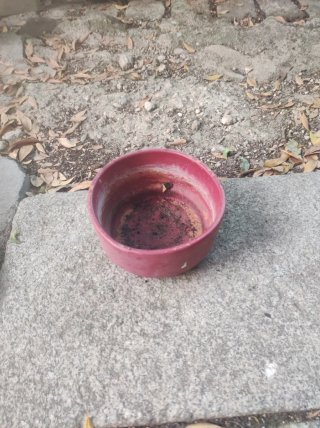 Macetas y platos para plantas