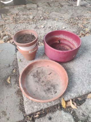 Macetas y platos para plantas