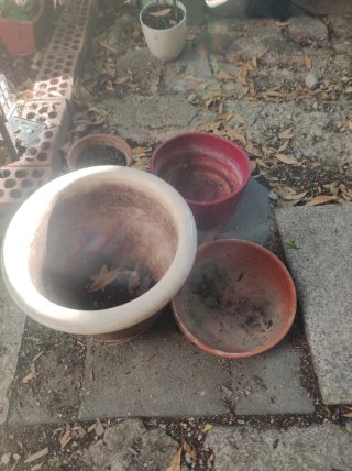 Macetas y platos para plantas