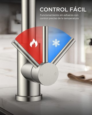 Rubinetto da Cucina Smontabile FORIOUS in Acciaio Inox
