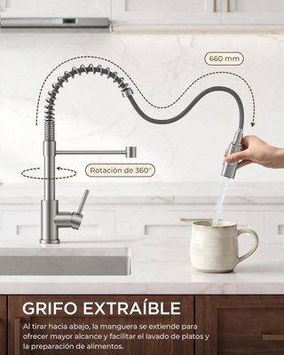 Rubinetto da Cucina Smontabile FORIOUS in Acciaio Inox