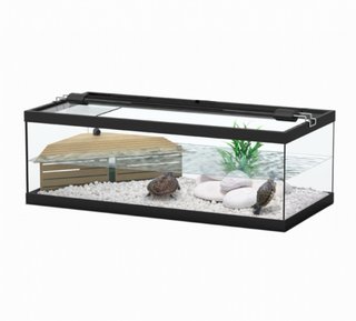 Acuario para tortugas