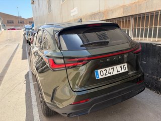 Lexus NX 2022