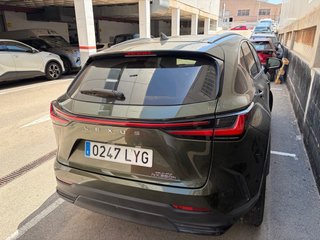 Lexus NX 2022