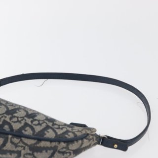 Christian Dior Trotter Canvas Accessory Pouch