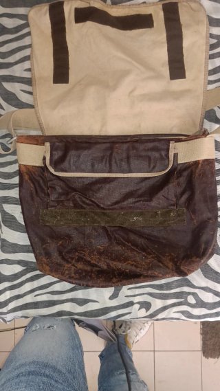 Borsa a tracolla Dolce & Gabbana Tropical original