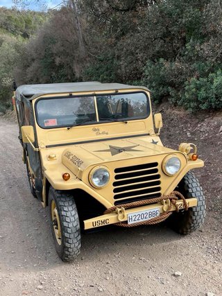 Ford Mutt 1980