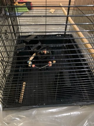 Jaula grande para pájaros