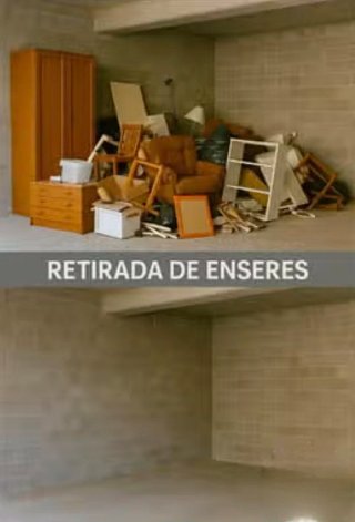 MUDANZAS, PINTURA, VACIADOS