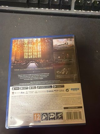 Hogwarts Legacy PS5
