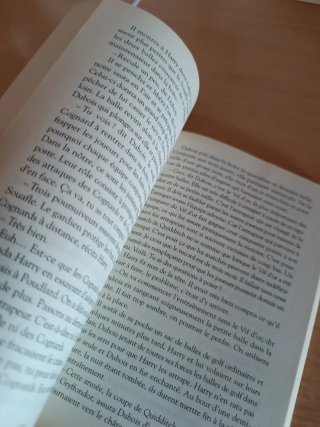 Harry Potter À l'école des sorciers de JK Rowling.