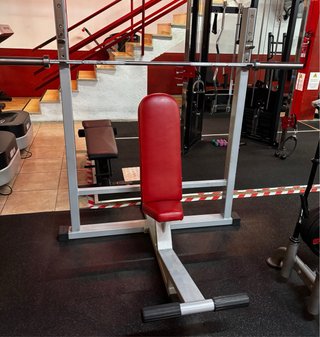 Máquina de Musculación Profesional Bodytone