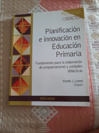 Planificación e innovación en educación primari...