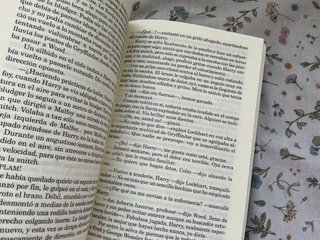 Harry Potter y la cámara secreta