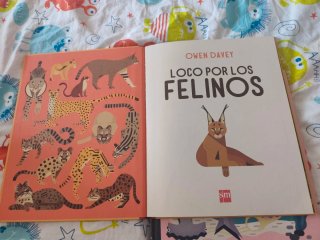 Lote 2 Libros Owen Davey (descatalogados)