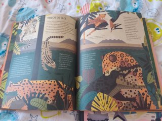 Lote 2 Libros Owen Davey (descatalogados)