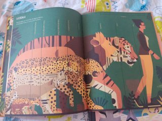 Lote 2 Libros Owen Davey (descatalogados)