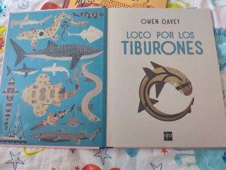 Lote 2 Libros Owen Davey (descatalogados)