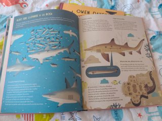 Lote 2 Libros Owen Davey (descatalogados)