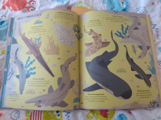 Lote 2 Libros Owen Davey (descatalogados)