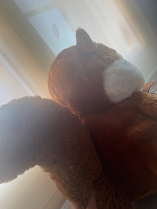 Peluche Ardilla con Bellota