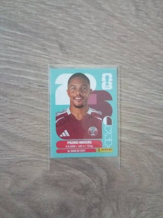 Cromos Panini Messi, Pedro Miguel, Tim Payne