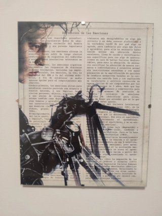 Cuadros Decorativos Dalí, Guitarra y Más