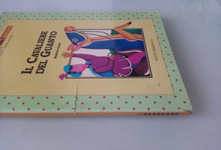 Il Cavaliere del Guanto scritto da Beatrice Garau