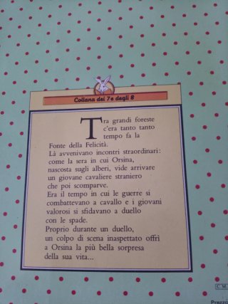 Il Cavaliere del Guanto scritto da Beatrice Garau
