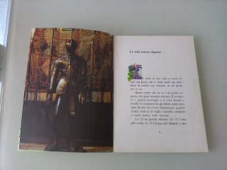 Il Cavaliere del Guanto scritto da Beatrice Garau