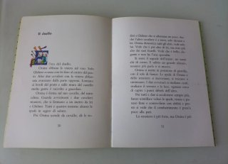Il Cavaliere del Guanto scritto da Beatrice Garau