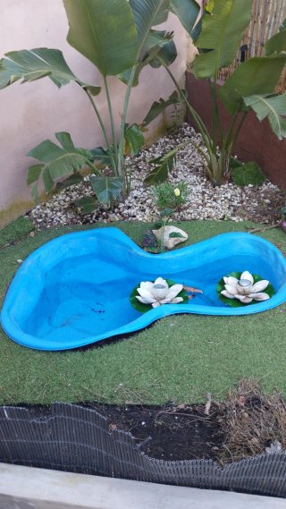 Estanque azul para jardín