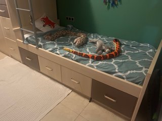 Cama tren con gran capacidad