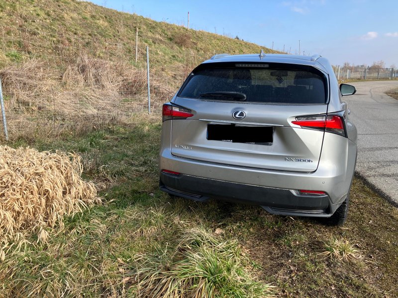 Lexus NX 300h E-FOUR ✨Luxury Line✨ 🚨FULL EXTRAS - foto 1