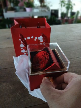 Cajita pedida rosa preservada anillo