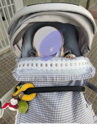 Funda para silla de paseo Inglesina