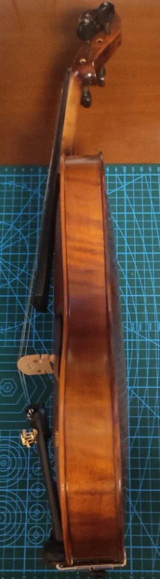 Violín Estilo Gusetto sin Esquinas 4/4 Sin afinar.