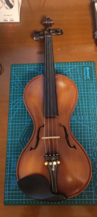 Violín Estilo Gusetto sin Esquinas 4/4 Sin afinar.