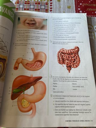 Biologia i Geologia 3, Secundària, Fanfest Baula